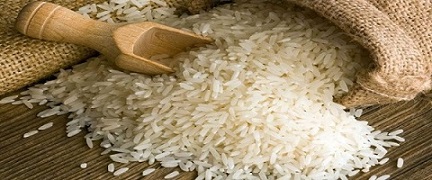 تصویر 4 از خرید و قیمت  برنج عنبر بو امید  + فروش عمده