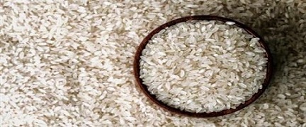 تصویر 1 از خرید و قیمت برنج عنبر بو نیم دانه رشت  + فروش عمده