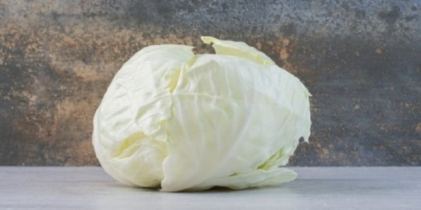 تصویر 1 از خرید و فروش کلم سفید پیچ با شرایط فوق العاده