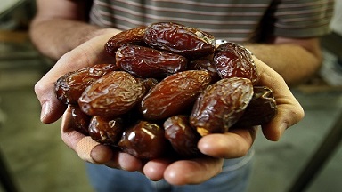 تصویر 2 از قیمت خرید خرما مضافتی درجه یک + فروش ویژه