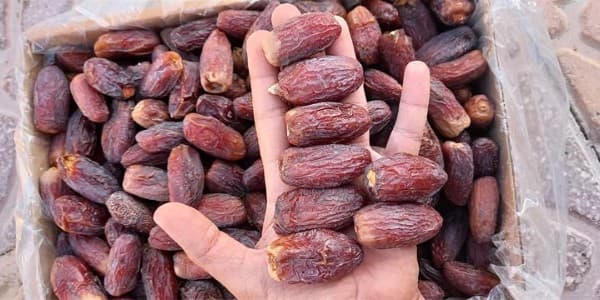 تصویر 5 از قیمت خرما پیارم درجه یک صادراتی + خرید باور نکردنی