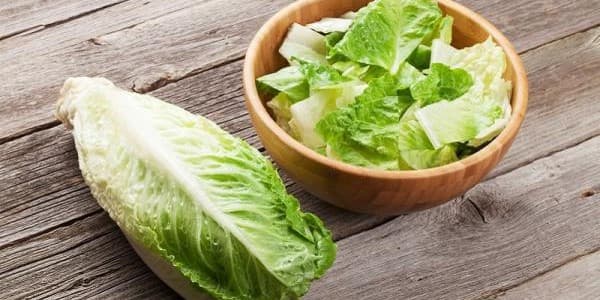 تصویر 1 از قیمت کاهو سالادی صادراتی + خرید باور نکردنی