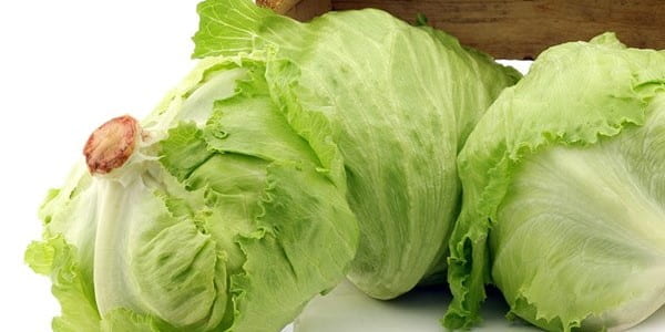 تصویر 4 از قیمت کاهو سالادی صادراتی + خرید باور نکردنی
