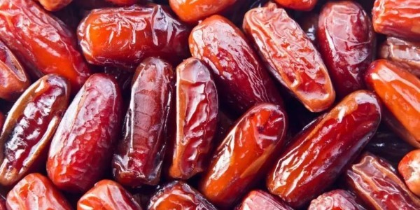 تصویر 3 از قیمت خرما کبکاب ممتاز + خرید باور نکردنی