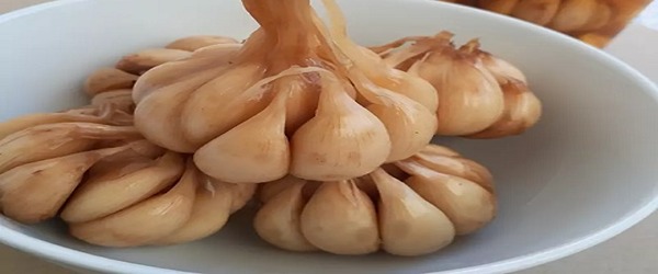 تصویر 2 از قیمت خرید سیر ترشی شمال عمده به صرفه و ارزان