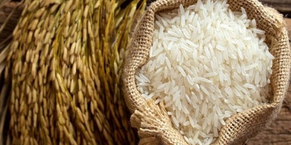 تصویر 2 از فروش برنج طبع گرم کامفیروز + قیمت خرید به صرفه