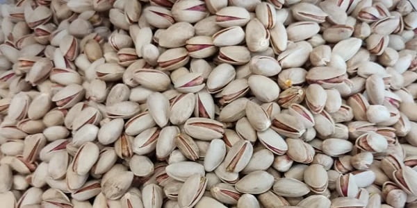 تصویر 3 از قیمت پسته خندان کرمان + خرید باور نکردنی