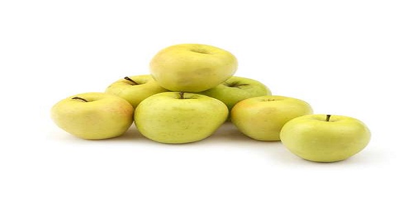 تصویر 4 از خرید و قیمت سیب سفید مراغه + فروش عمده