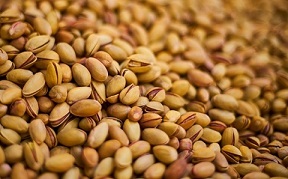 تصویر 3 از قیمت پسته احمد آقایی درجه یک + خرید باور نکردنی