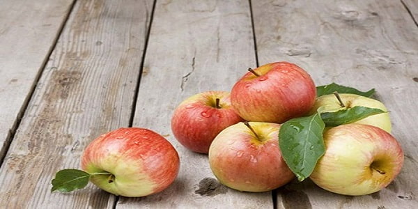 تصویر 4 از خرید و فروش سیب گلاب مشهد با شرایط فوق العاده