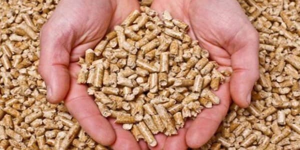 تصویر 1 از خرید کنسانتره دامی گاو + قیمت فروش استثنایی