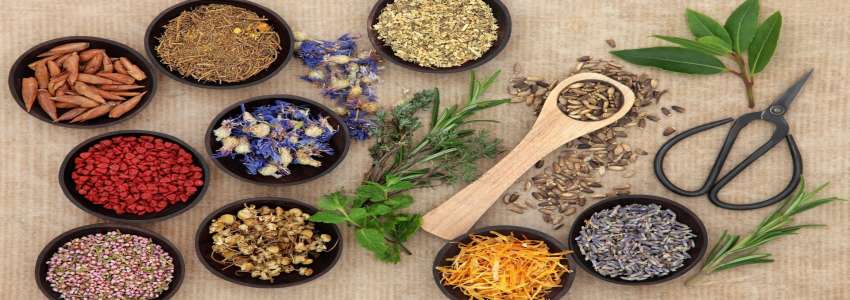 تصویر 2 از قیمت گیاهان دارویی عجیب + خرید باور نکردنی