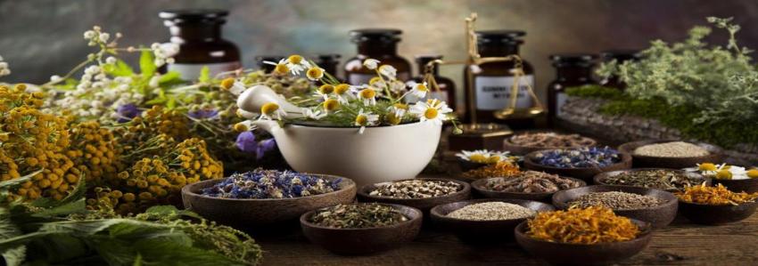 تصویر 5 از قیمت گیاهان دارویی عجیب + خرید باور نکردنی