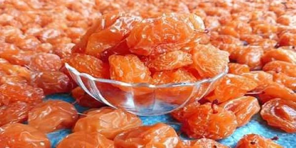 تصویر 5 از خرید و فروش قیسی آلو بخارا با شرایط فوق العاده