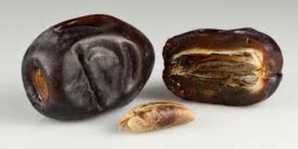 تصویر 1 از فروش خرما مضافتی بم درجه یک + قیمت خرید به صرفه