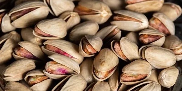 تصویر 2 از خرید پسته اکبری درجه 1 + قیمت فروش استثنایی