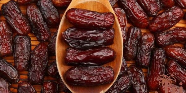 تصویر 4 از خرید و فروش خرما استعمران درجه یک با شرایط فوق العاده