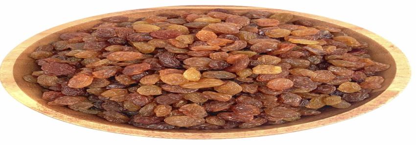 تصویر 4 از فروش کشمش سبز مرغوب + قیمت خرید به صرفه
