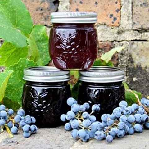 فروش شیره انگور هزاوه + قیمت خرید به صرفه