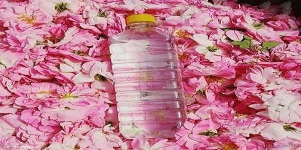 تصویر 4 از فروش گلاب سنتی کاشان + قیمت خرید به صرفه