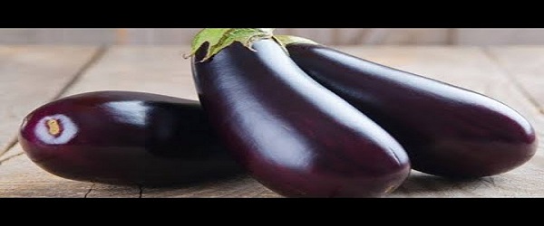 تصویر 2 از خرید و قیمت بادمجان لامپی اصفهان    + فروش عمده