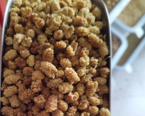 تصویر 6 از فروش توت سفید خشک + قیمت خرید به صرفه