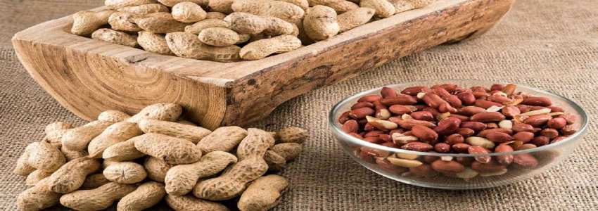 تصویر 1 از قیمت بادام زمینی و مشتقات صادراتی با کیفیت ارزان + خرید عمده