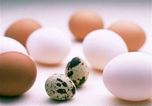 تصویر 3 از قیمت خرید تخم مرغ رسمی عمده به صرفه و ارزان