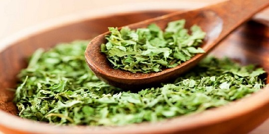 تصویر 1 از قیمت خرید  گیاه دارویی آویشن عمده به صرفه و ارزان