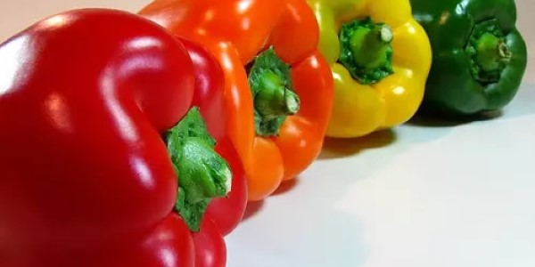تصویر 1 از خرید فلفل رنگی صادراتی + قیمت فروش استثنایی