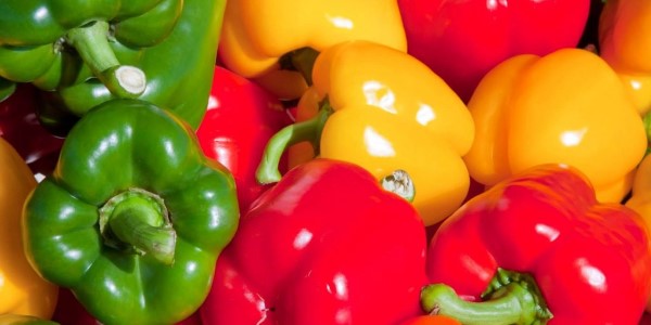 تصویر 4 از خرید فلفل رنگی صادراتی + قیمت فروش استثنایی