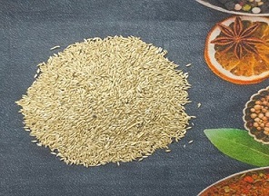 تصویر 2 از قیمت خرید تخم کتان سفید درجه یک + فروش ویژه