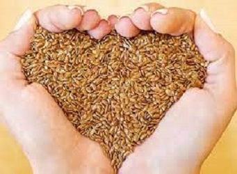 تصویر 4 از قیمت خرید تخم کتان سفید درجه یک + فروش ویژه
