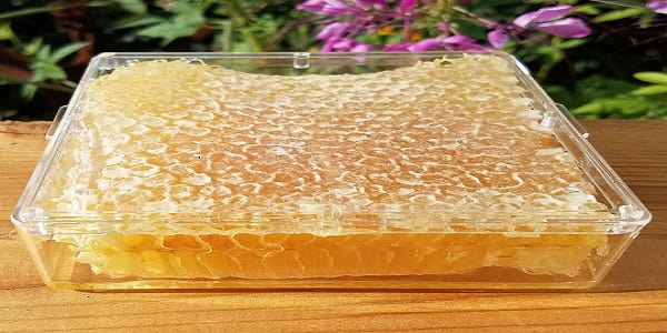 تصویر 5 از فروش عسل طبیعی موم دار + قیمت خرید به صرفه