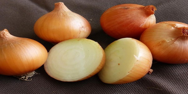 تصویر 2 از خرید و قیمت پیاز زرد زنجان + فروش صادراتی