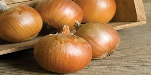 تصویر 5 از خرید و قیمت پیاز زرد زنجان + فروش صادراتی