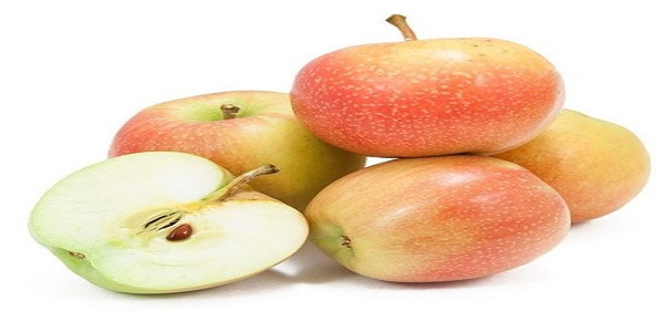 تصویر 3 از قیمت خرید سیب گلاب مشهد + فروش ویژه
