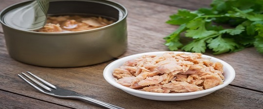تصویر 1 از خرید و قیمت تن ماهی شیلتون دودی + فروش عمده