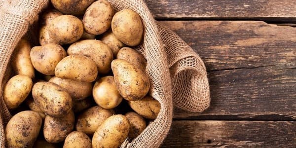تصویر 3 از خرید سیب زمینی رقم کلمبا + قیمت فروش استثنایی