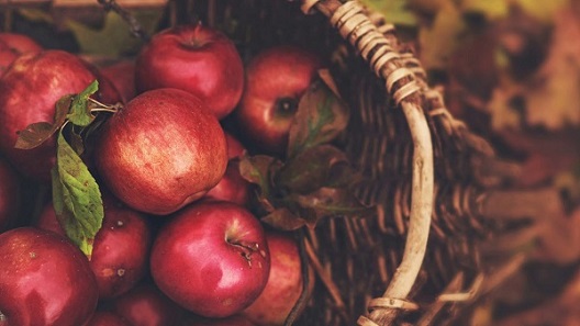 تصویر 5 از خرید و قیمت سیب قرمز ارگانیک + فروش عمده