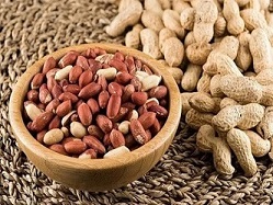 تصویر 3 از قیمت خرید بادام زمینی شور + فروش ویژه