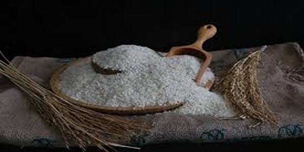 تصویر 5 از خرید و قیمت برنج شمال طارم + فروش عمده
