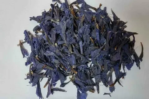 تصویر 5 از خرید و فروش گل گاو زبان معطر با شرایط فوق العاده