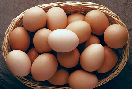 تصویر 2 از قیمت خرید تخم مرغ محلی تازه  + فروش ویژه