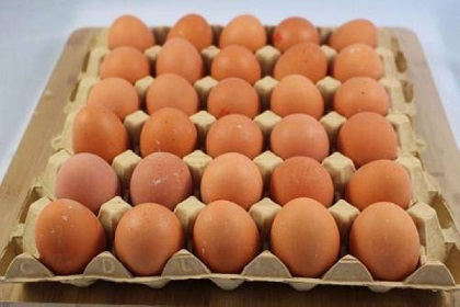 تصویر 3 از قیمت خرید تخم مرغ محلی تازه  + فروش ویژه