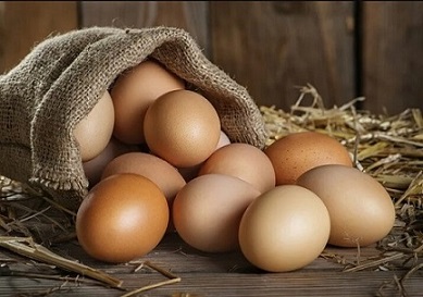 تصویر 4 از قیمت خرید تخم مرغ محلی تازه  + فروش ویژه