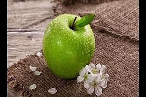 تصویر 4 از فروش سیب ترش سبز + قیمت خرید به صرفه