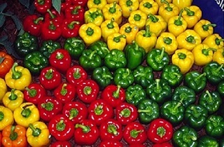 تصویر 2 از قیمت خرید فلفل دلمه صادراتی با فروش عمده