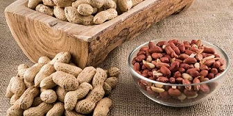 تصویر 4 از فروش بادام زمینی عمده آستانه + قیمت خرید به صرفه