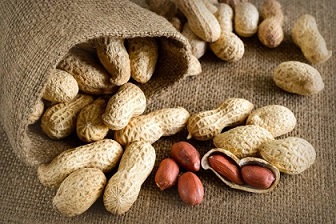 تصویر 5 از فروش بادام زمینی عمده آستانه + قیمت خرید به صرفه